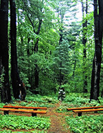 Nature's Sanctuary